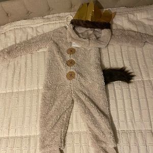 Pottery Barn Kids where the wild things are costume 3T